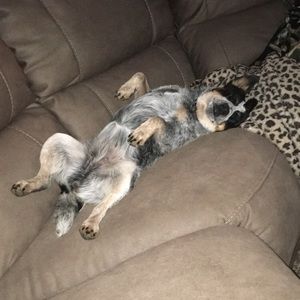 Meet your Posher, Joni